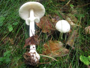 IMG_3185.jpg