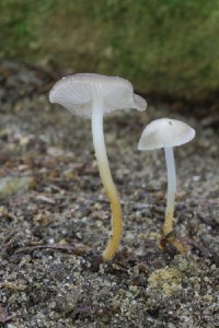 IMG_3238.JPG