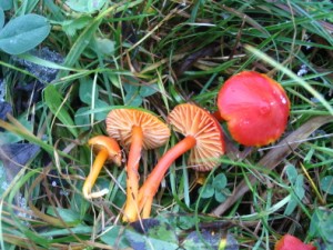 IMG_3400.jpg