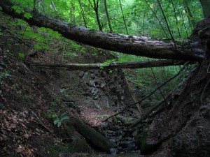 IMG_3522.jpg