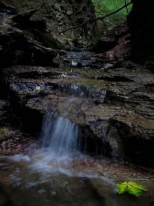 IMG_3523.jpg