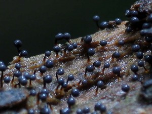 IMG_3538.jpg