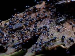 IMG_35580.jpg