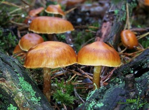 IMG_4125.JPG