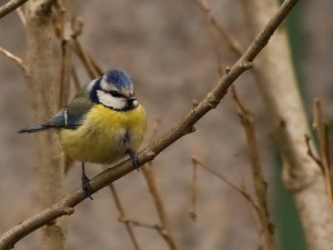 IMG_4214.jpg