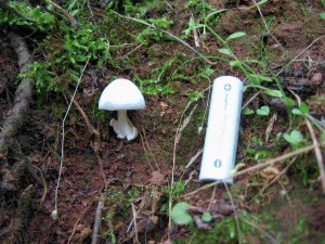 IMG_4732.JPG