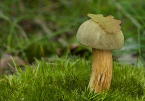 IMG_4977.jpg
