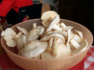 IMG_5010.JPG