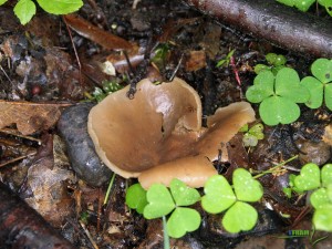 IMG_5076.JPG