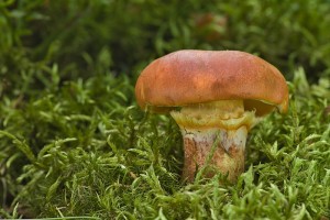 IMG_5077.jpg