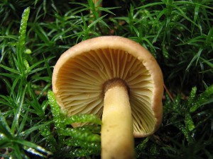 IMG_5749.jpg