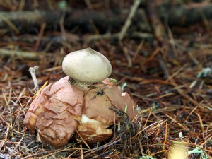 IMG_5844.JPG