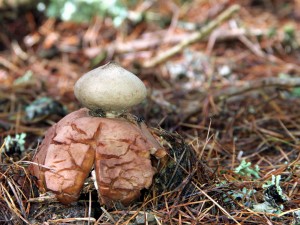 IMG_5846.JPG