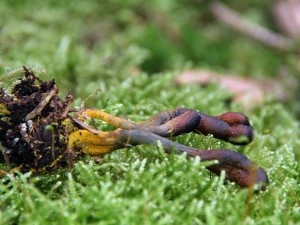 IMG_5864.JPG