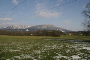 IMG_5867.jpg