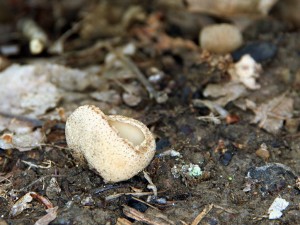 IMG_6258.jpg