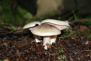 IMG_6280.jpg