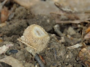 IMG_6280.jpg