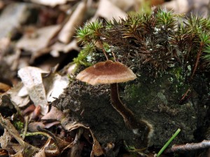 IMG_6451.JPG