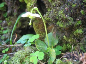 IMG_64.jpg