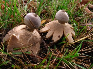 IMG_6745_1.jpg
