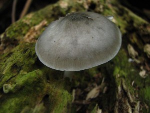 IMG_6969.jpg