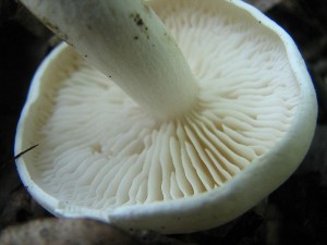 IMG_7213.jpg