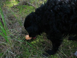 IMG_7789.jpg