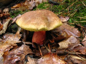 IMG_7807.jpg