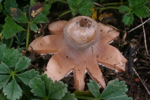 IMG_8660.JPG