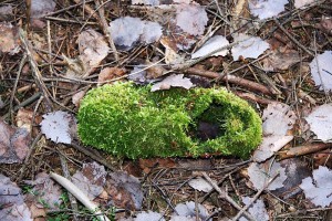 IMG_8997.jpg