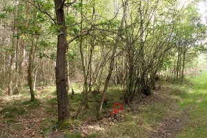 IMG_9479x.jpg