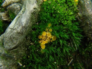 IMG_9786.JPG
