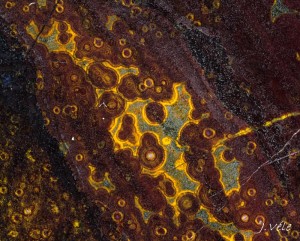 Janovky macro.jpg