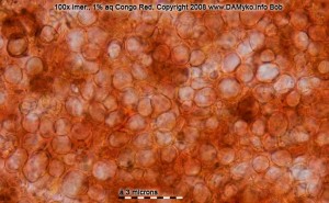 Kornice-CR-Exc.jpg