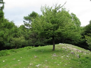 lokalita.jpg