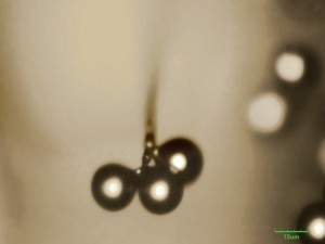 mikrohoub-NCF10.jpg