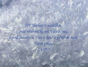 NejNejNej.jpg