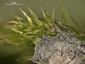 New-Out99978_20x.jpg