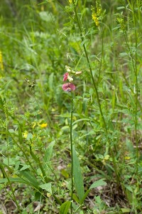 New_IMG_0239.jpg