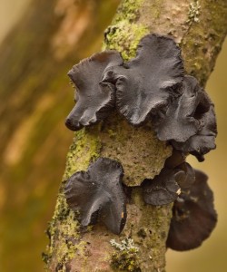 New_IMG_3681.jpg