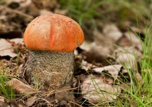 New_IMG_6964.jpg