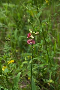 New_New_IMG_0238.jpg