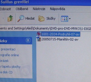 Obr 004, Klouzek slicny-digi i dia.jpg