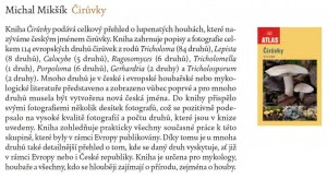 Obrzek1.jpg