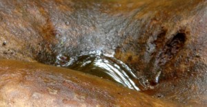 Osvěta-TH-01.jpg