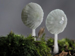 P1010005.jpg