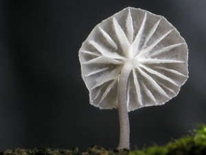 P1010016.jpg