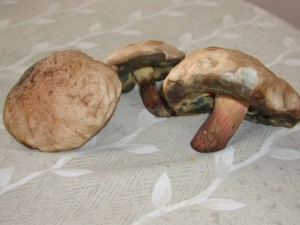 P1010035.jpg