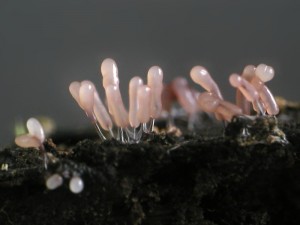 P1010038.jpg
